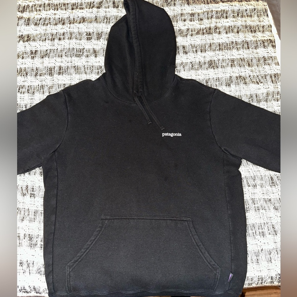 Patagonia Pullover Hoodie
